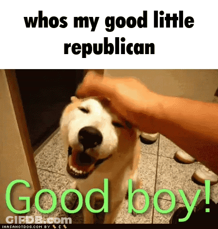 Person Petting Dog Saying Whos My Good Little Republican Good Boy GIF