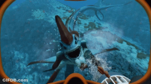 Person Petting Fish In Ocean GIF