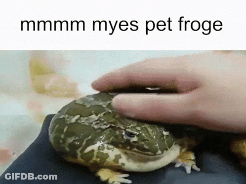 Person Petting Frog Saying Mmmm Myes Pet Froge GIF