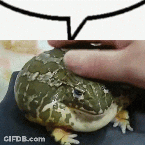 Person Petting Frog With Speech Bubble GIF