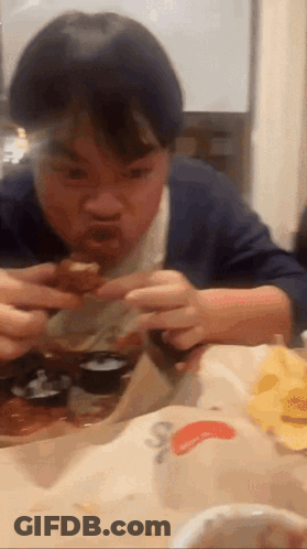 Person Petting Gray Pug Dog GIF
