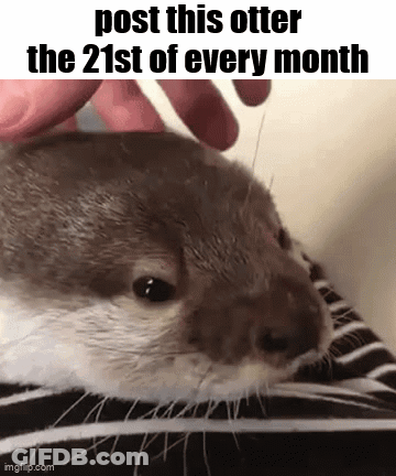 Person Petting Otter On Blanket GIF