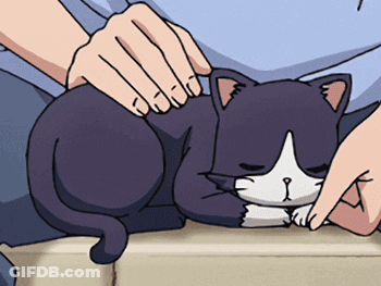 Person Petting Sad Black And White Cat GIF