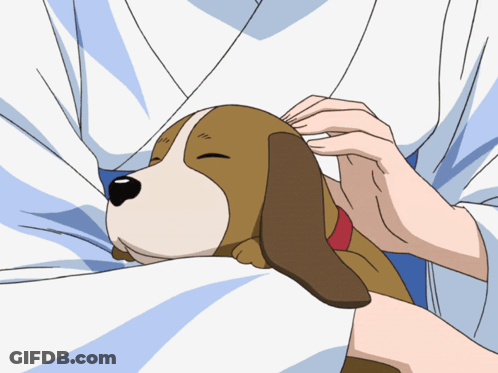 Person Petting Small Brown And White Dog GIF