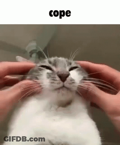 Person Petting Smiling Cat GIF