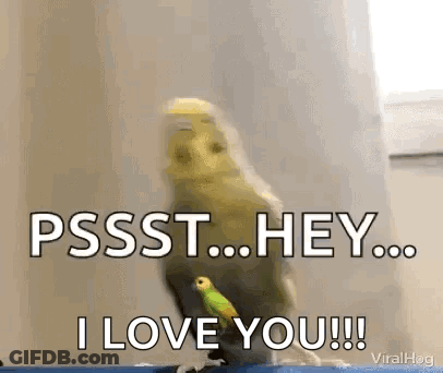 Person Petting Stuffed Animal On Polka Dot Bed GIF
