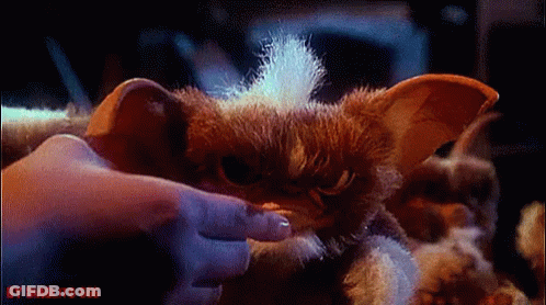 Person Petting Stuffed Animal GIF
