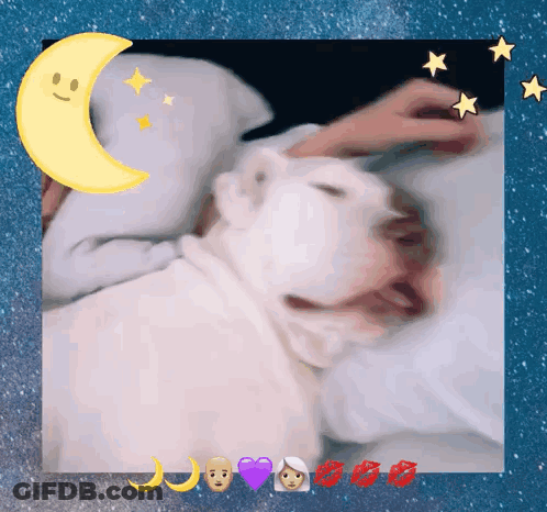 Person Petting White Dog With Crescent Moon GIF