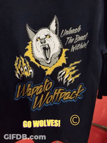 Person Petting Wolf Lying On Ground GIF