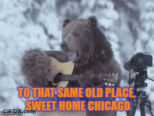 Person Phone Stuffed Animal: Everybody's Gotta See This GIF
