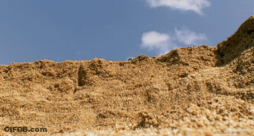 Person Photographing Large Dirt Pile GIF