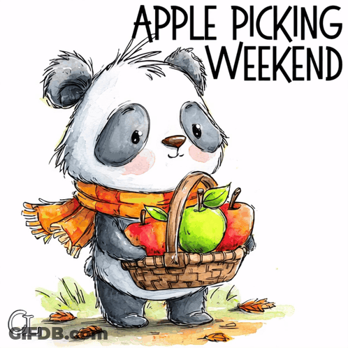 Person Picking Apples From Basket GIF