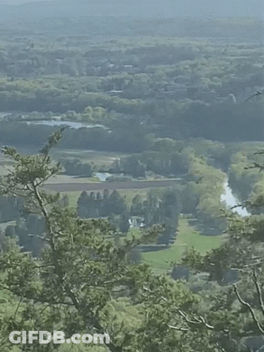 Person Playing Video Game At 168M 250 GIF