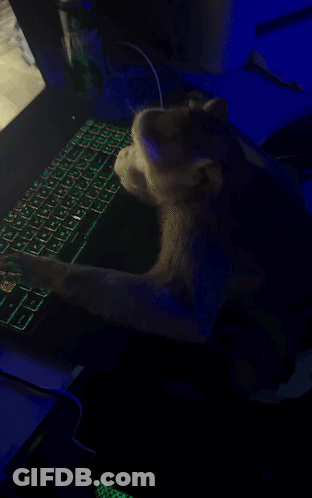 Person Playing Video Game On Laptop With Can Of Seven Eagles GIF