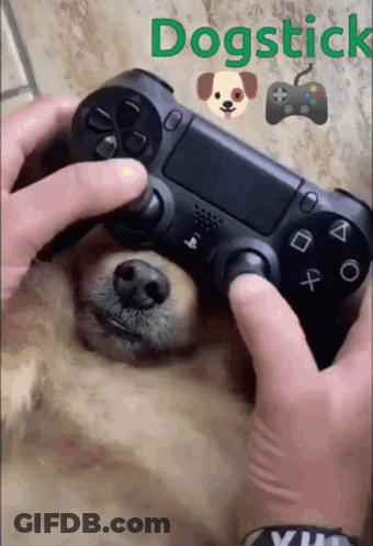 Person Playing Video Game With Dog Through Controller GIF