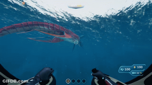 Person Playing Video Game With Fish GIF