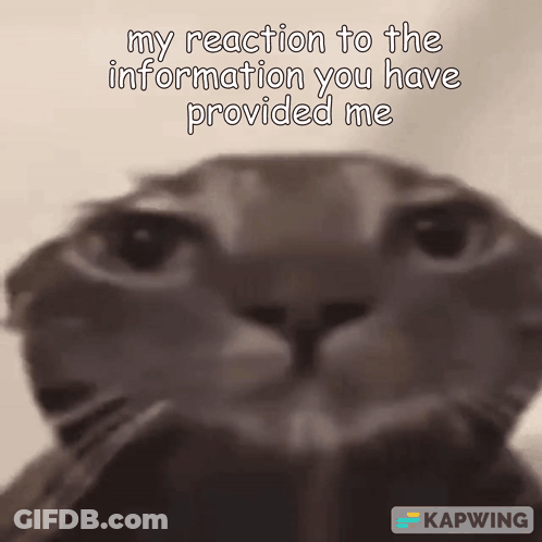 Person Playing Violin Next To Puppet GIF