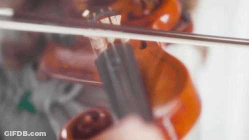 Person Playing Violin With Bow GIF