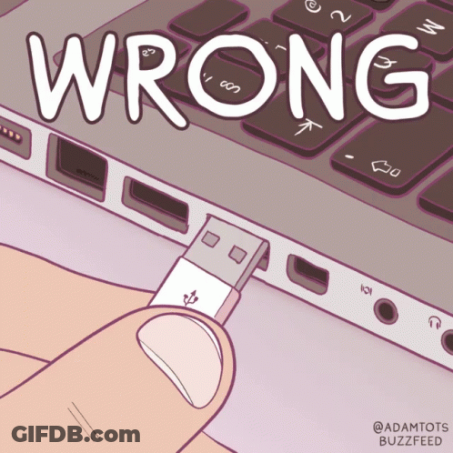 Person Plugging USB Into Laptop Saying Wrong GIF