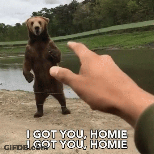 Person Pointing At Bear I Got You Homie GIF
