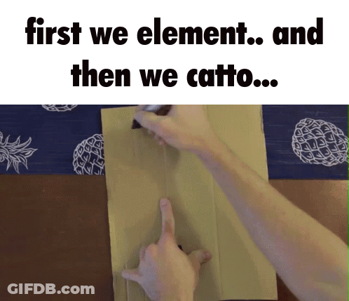 Person Pointing At Cardboard Saying First We Element GIF
