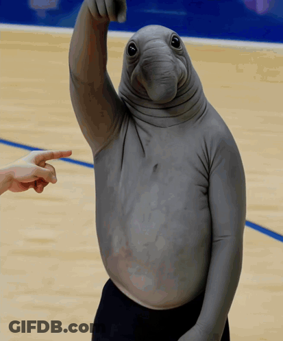 Person Pointing At Gray Elephant On Court GIF
