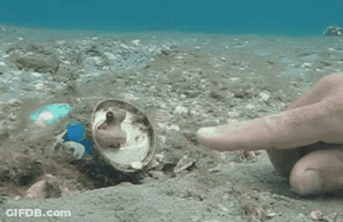 Person Pointing At Soda Can In Sand GIF