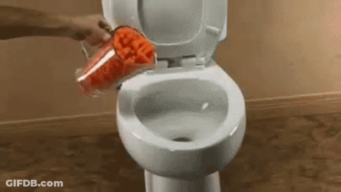 Person Pouring Carrots Into Toilet With Blender GIF
