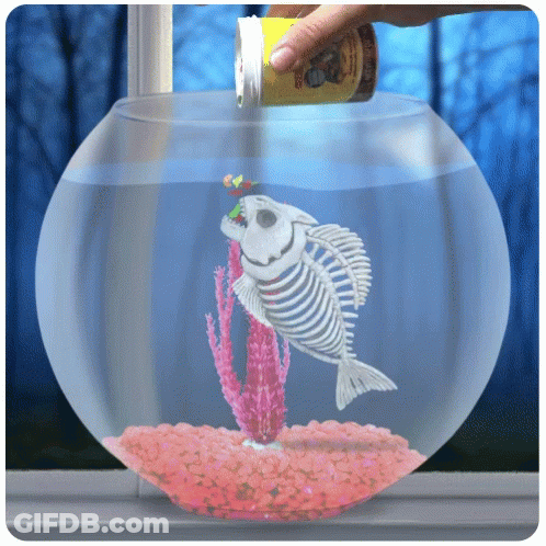 Person Pouring Food Into Fish Bowl With Skeleton Fish GIF