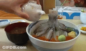 Person Pouring Liquid Into Bowl With Octopus GIF