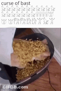 Person Pouring Macaroni And Cheese Into Pan GIF