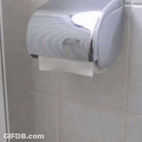Person Pulling Toilet Paper From Dispenser GIF
