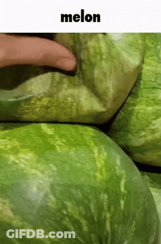 Person Putting Finger Into Watermelon Saying Melon GIF
