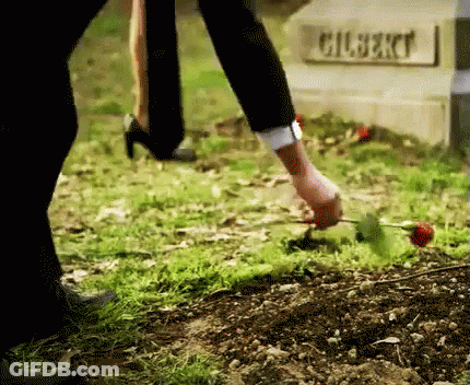 Person Putting Rose On Gilbert Grave GIF