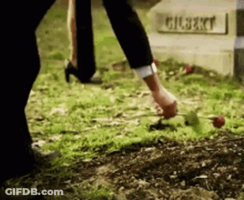 Person Putting Rose On Gilbert Grave GIF