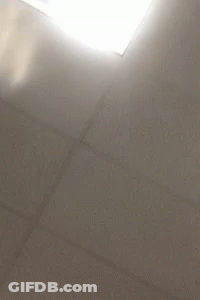 Person Reaching For Ceiling Light GIF