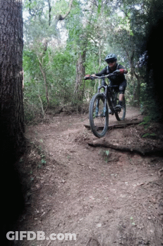 Person Riding Bike Down Dirt Trail GIF