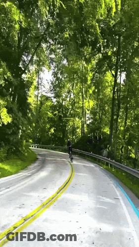 Person Riding Bike Down Road With Trees GIF
