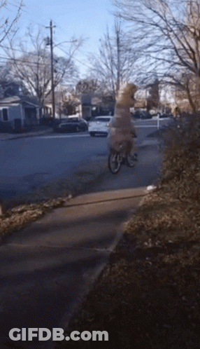 Person Riding Bike Down Sidewalk GIF