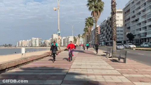 Person Riding Bike On Sidewalk By Beach GIF