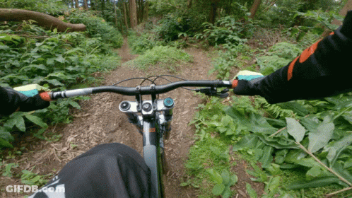 Person Riding Bike On Trail With Fox Glove GIF