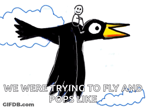 Person Riding Black Bird We Were Trying To Fly GIF