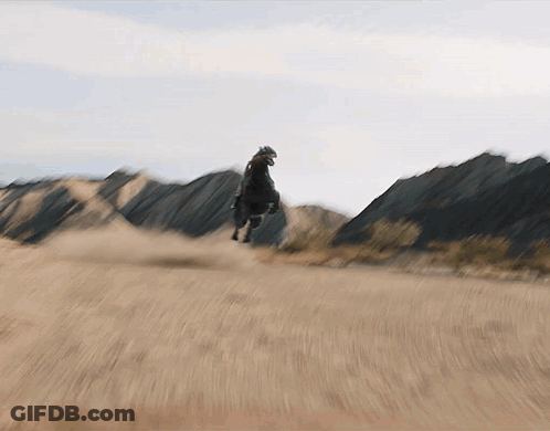 Person Riding Black Horse In Field GIF