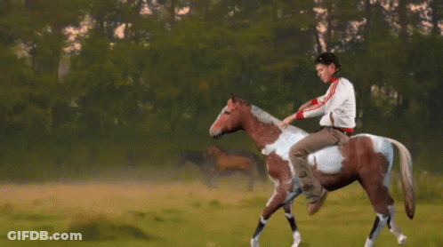 Person Riding Brown And White Horse GIF