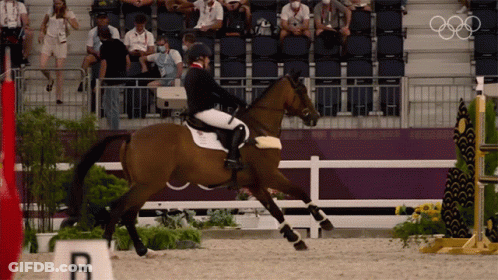 Person Riding Brown Horse In Front Of Sign Saying B GIF