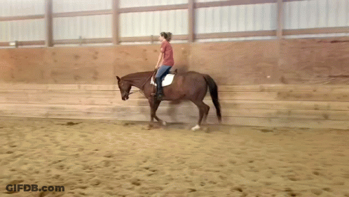 Person Riding Brown Horse In Sandy Area GIF