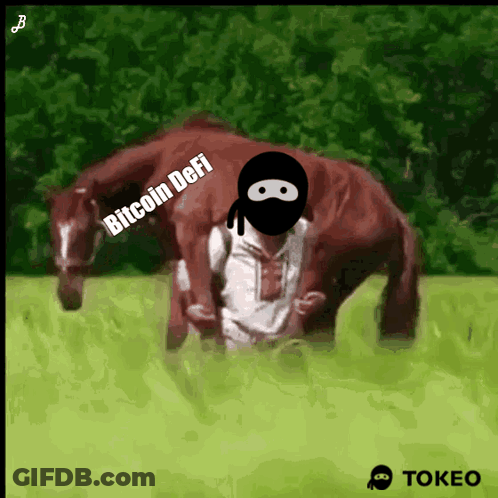 Person Riding Horse Bitcoin Defi GIF