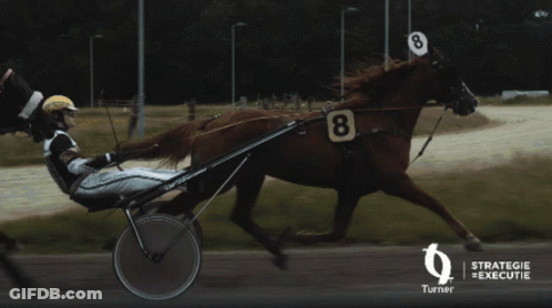 Person Riding Horse Drawn Carriage Strategie Executie GIF