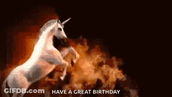 Person Riding Horse Holding Lasso GIF