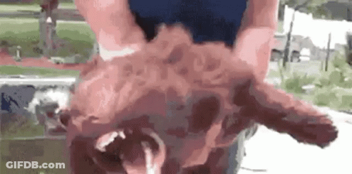 Person Riding Horse In Canyon GIF
